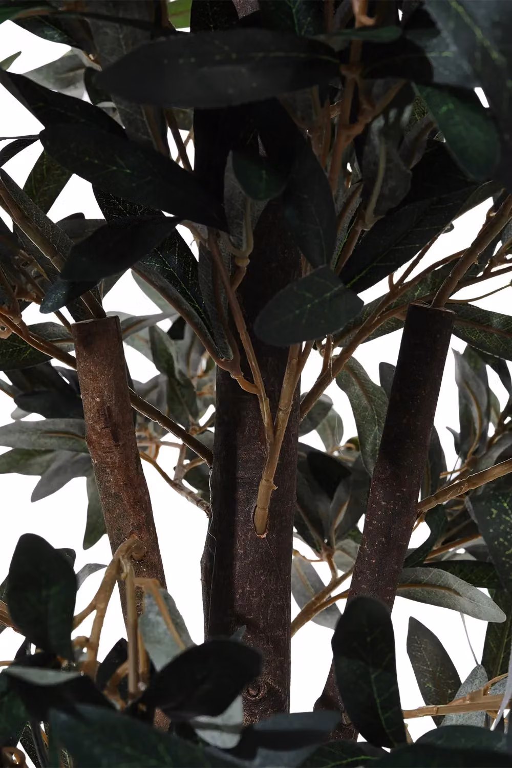 Garden Sanctuary Artificial Olive Tree in Pot, Green, Height: 190 cm – 6