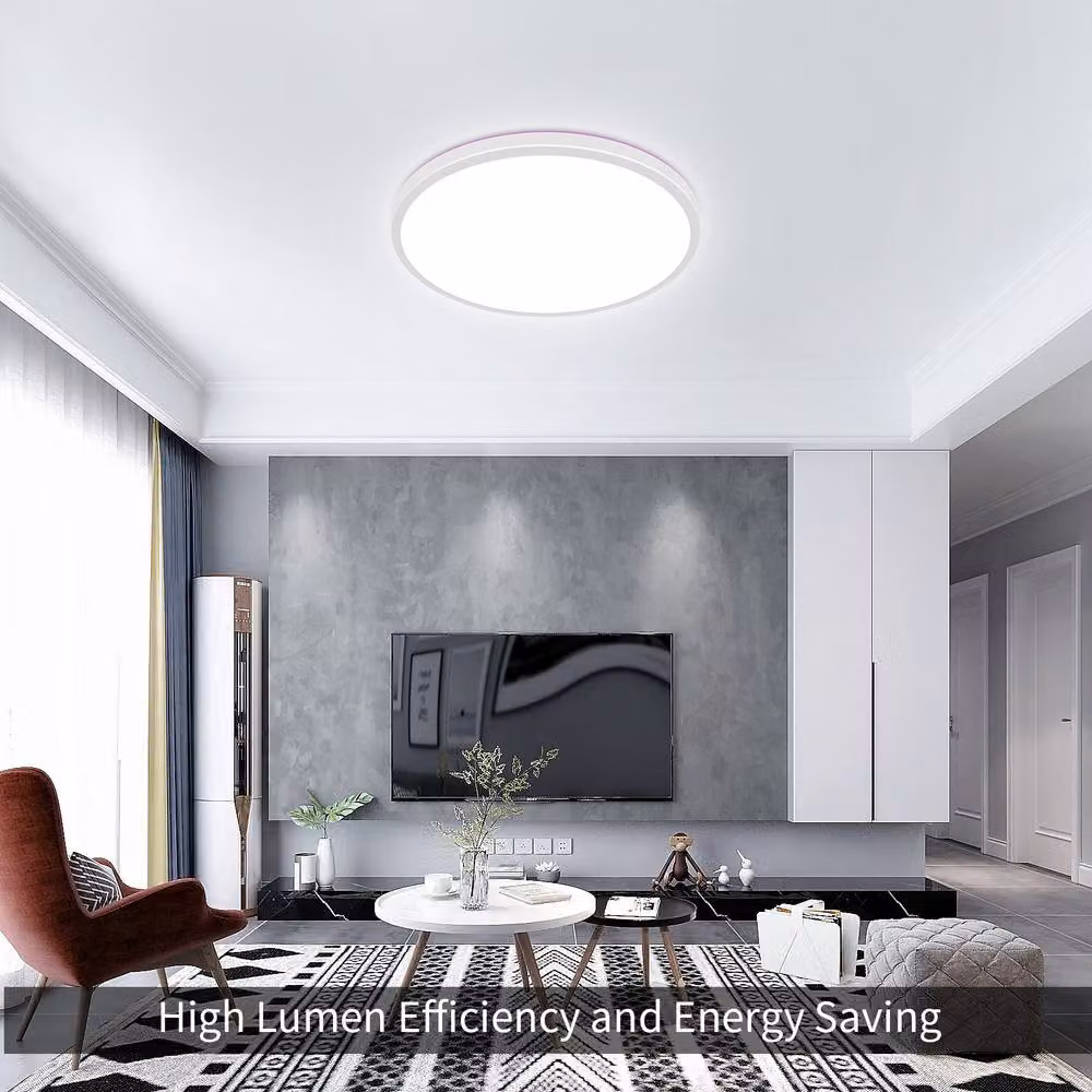 Pheashine White Round LED Ceiling Light, 24W, 4000K, Dimmable with Remote Control, Diameter: 28 cm – 7