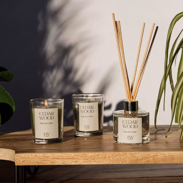Marco Paul Cedar Wood Scented Votive Candle Gift Set in Transparent Glass