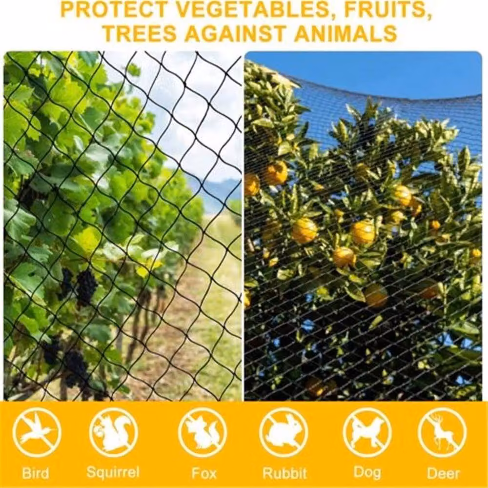 EONLION Black Anti Bird Netting for Pigeons and Gardens, 4m x 4m – 5