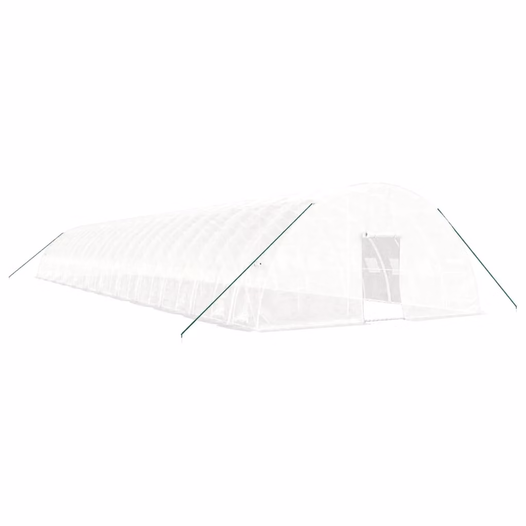 Berkfield Home White Steel Frame Greenhouse with Plastic Windows, W/D/H: 24 x 6 x 2.85 m – 2