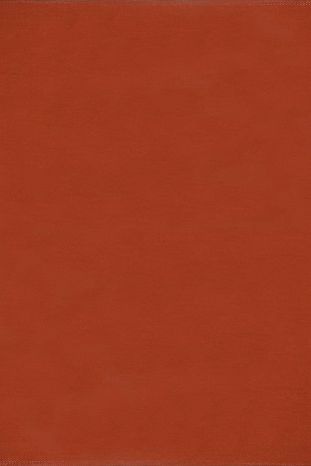 THE RUGS Reversible Weatherproof Outdoor Garden Patio Rug Solid Urban 1000 in Terracotta, W: 240 cm, D: 340 cm – 2