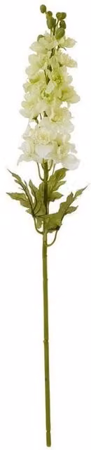 Lemon Pavilion Natural Garden Collection Elatum Delphinium Single Stem Flower, White, H78cm