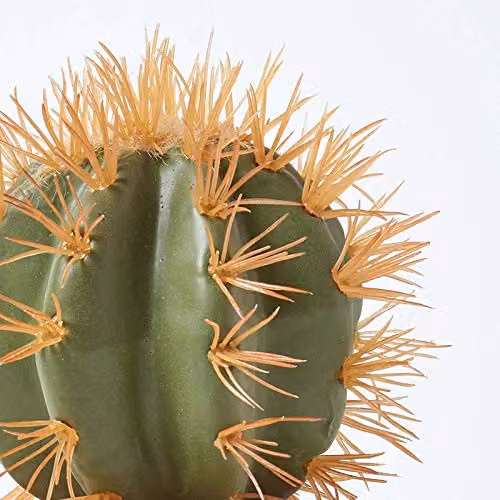 Homescapes Small Round Artificial Succulent Cactus in Orange and Green Terracotta Pot, Height: 15 cm – 2