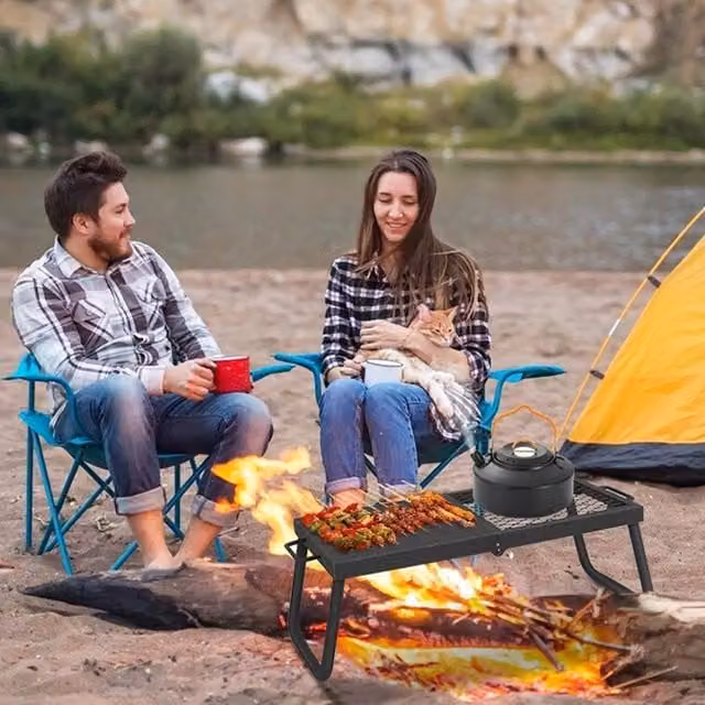 London Boutique Heavy Duty Enamelled Steel Folding Campfire Grill Grate with Carry Bag in Black