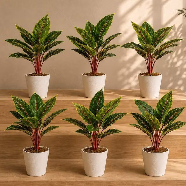 Botanik Pack of 6 Realistic Artificial Potted Green Foliage Plants, H 38 cm x W 30 cm x D 30 cm