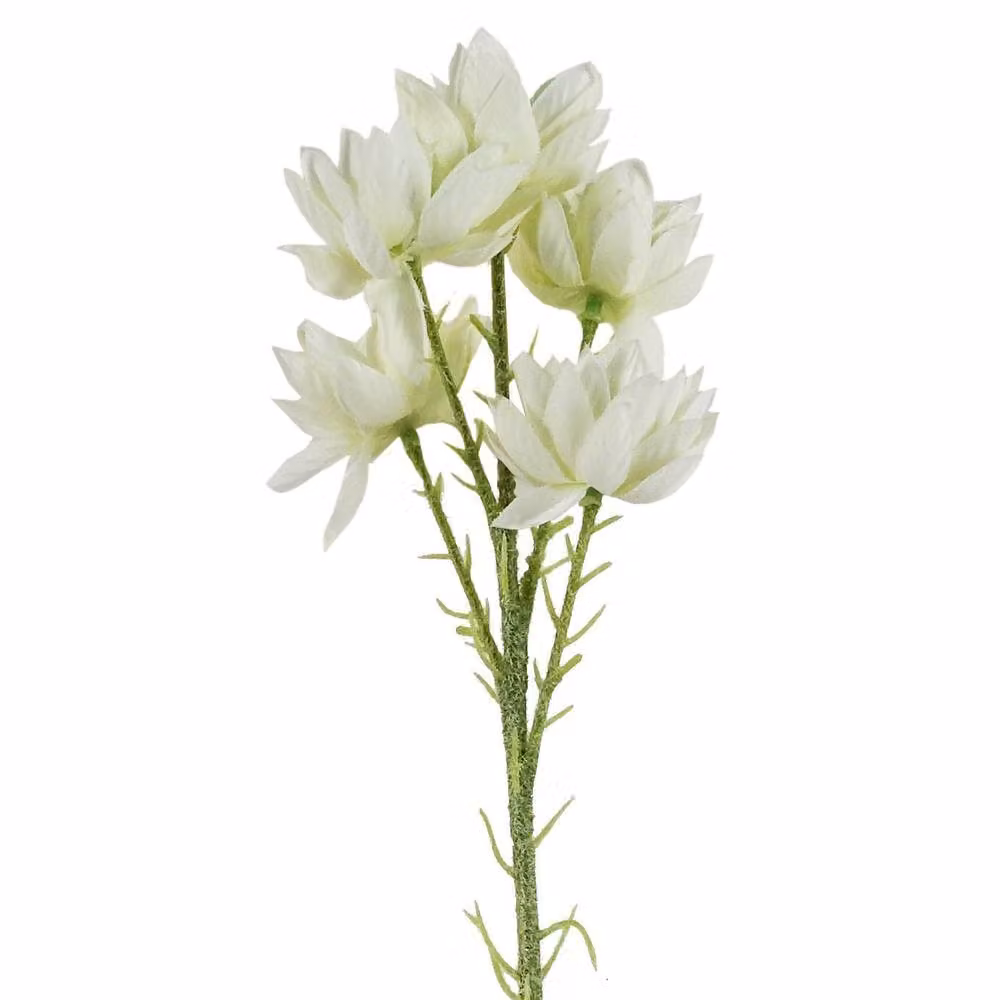 Leaf Pack of 6 White Artificial Starflower Stems, 60 cm – 2