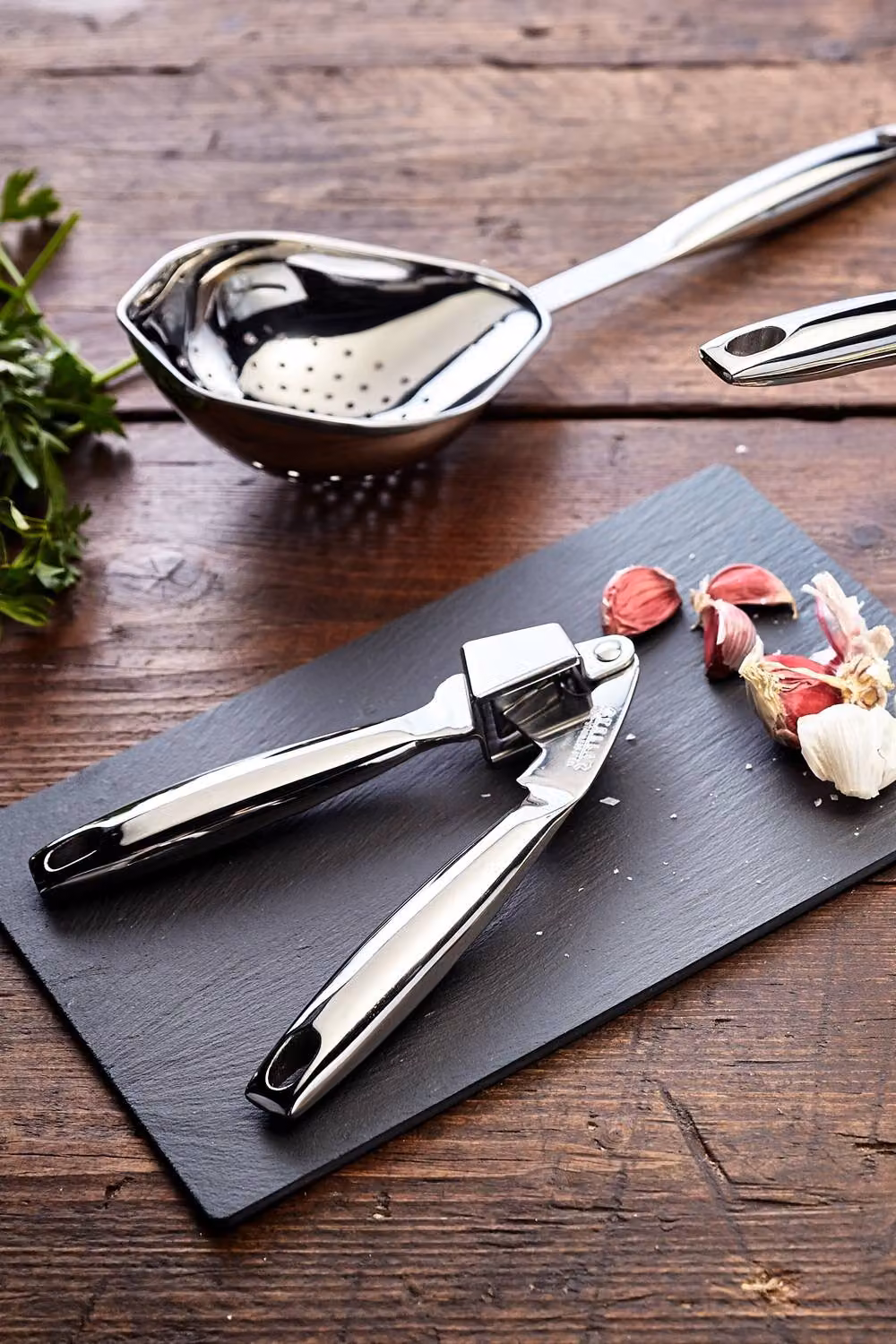 Stellar Stainless Steel Garlic Press in Silver – 6