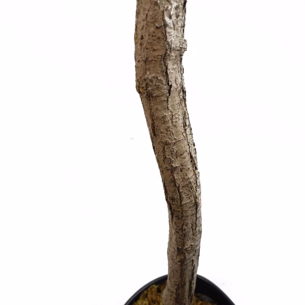 Leaf Botanik Green Artificial Olive Tree, Height: 180 cm – 6