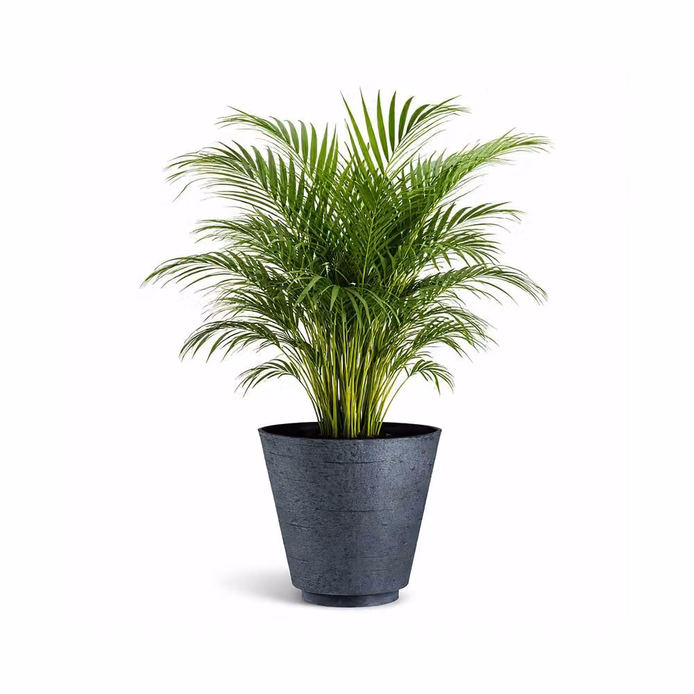 Simpa Hudson Textured Effect Plastic Planter Tub Set of 2 in Grey – 2