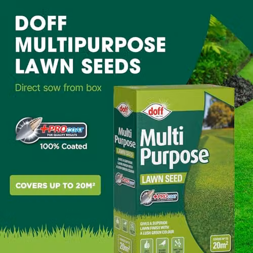Doff Multipurpose Lawn Seed Plus Procoat, 500g – 3