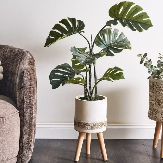 Wyld and Coco White Distressed Ceramic Planter with Beechwood Legs, W/D/H: 43.0 x 22.0 cm – 1