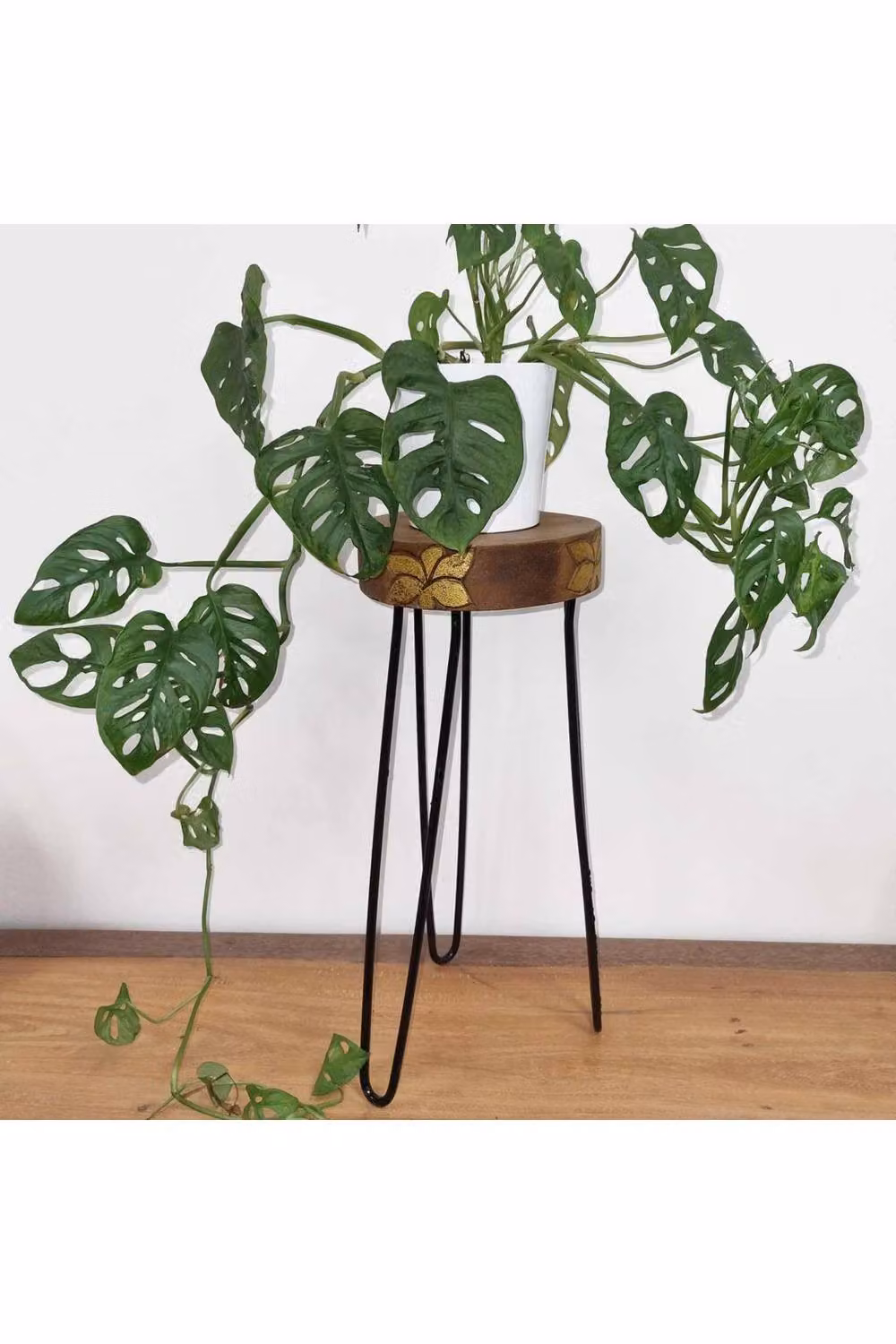 KDMD Albasia Wood Plant Stand in Brown with Gold Accents – 3