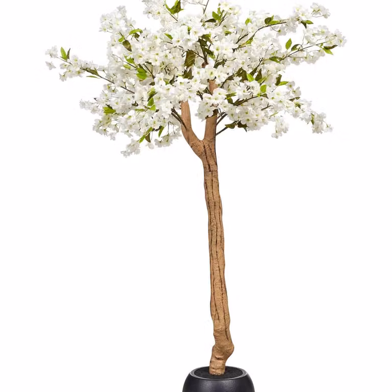 Wyld and Coco White Artificial Cherry Blossom Tree, Height: 180 cm