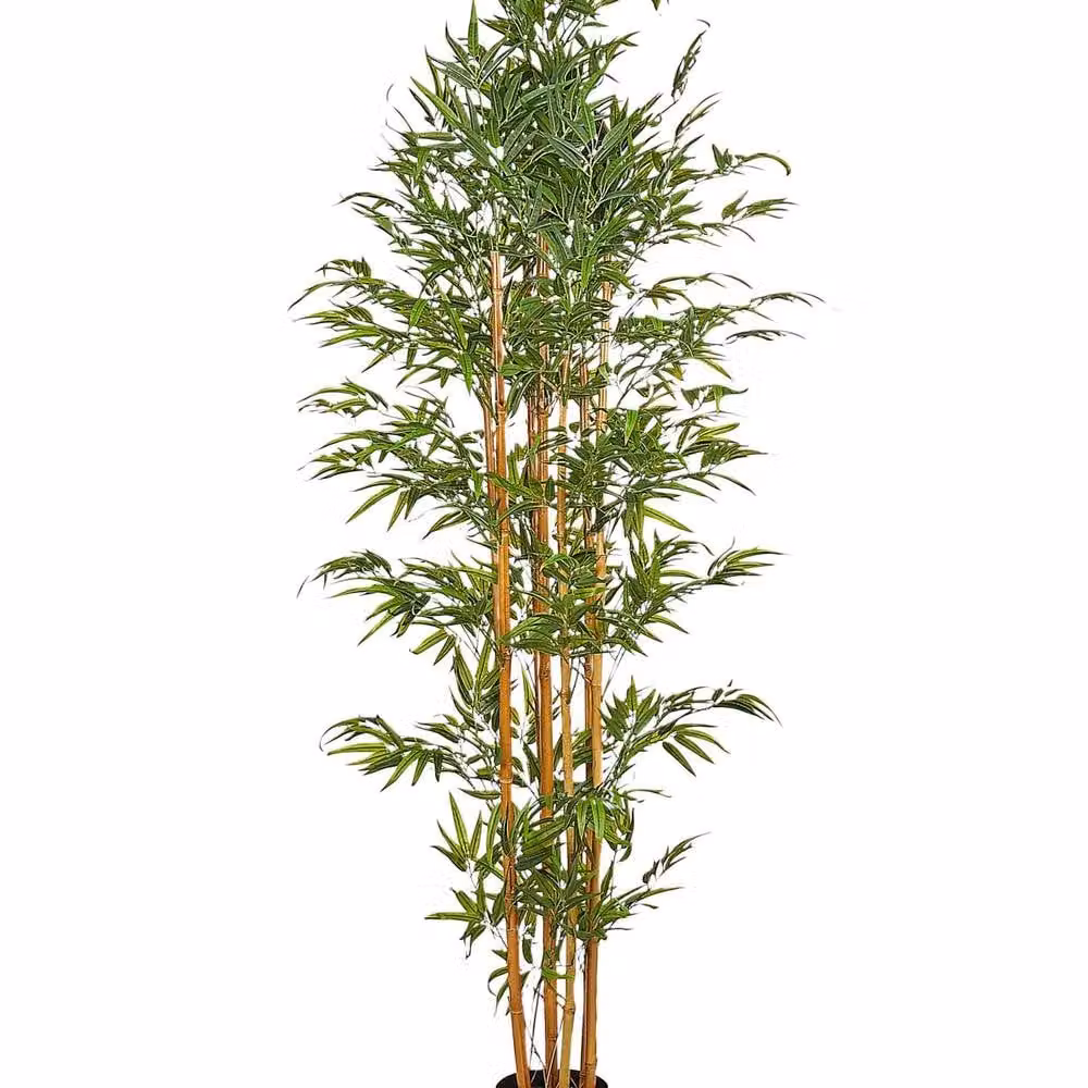 Wyld and Coco Lifelike Bamboo Tree, Green and Black, Height: 220 cm – 2