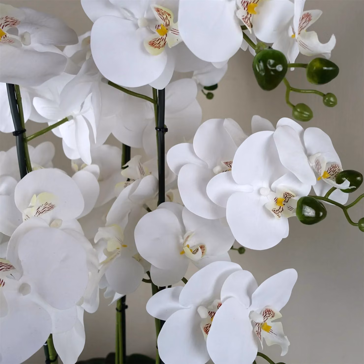 Botanik Leaf Realistic Artificial White Orchid in a Round Glass Planter, Height: 50 cm – 3