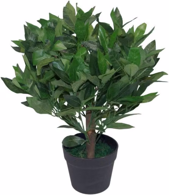 Leaf Design UK Artificial Realistic Bay Laurel Topiary Ball Tree, Green, Diameter: 30 cm
