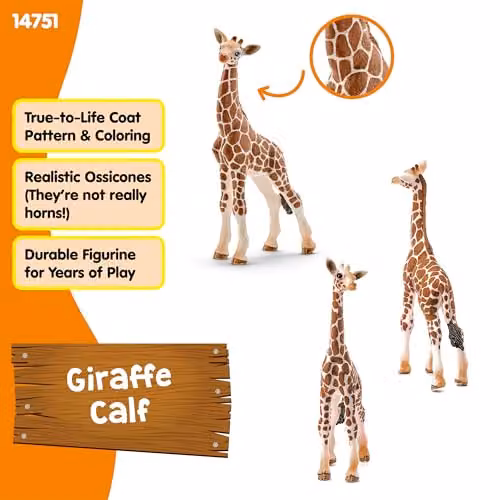 Schleich Wild Life Giraffe Calf Toy Figurine in Orange and Brown – 3