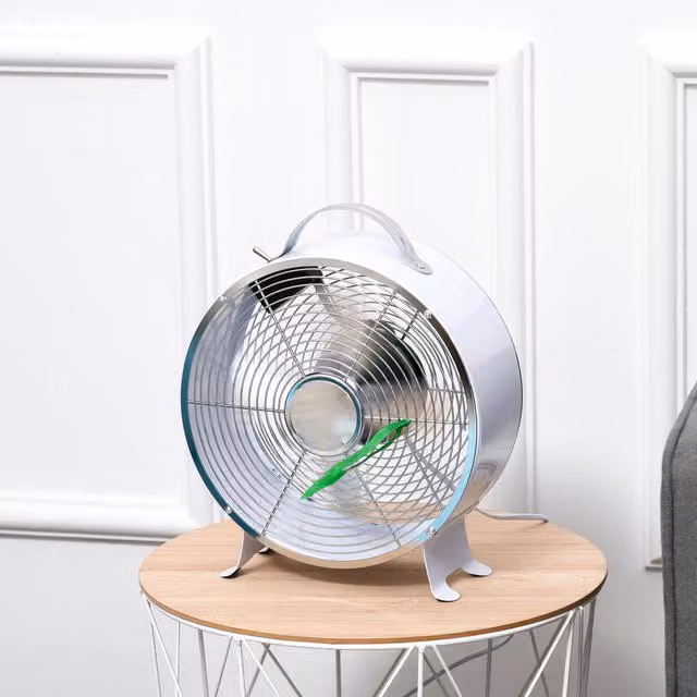 HOMCOM 26cm 2 Speed Electric Fan with Safe Guard, White