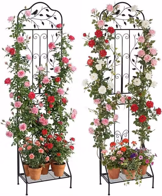 Kelvenix 2-Pack Black Metal Freestanding Rose Trellis, Height: 190 cm – 1