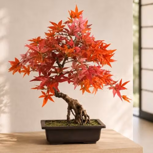 Leaf Red Maple Artificial Bonsai Tree, Height: 50 cm – 2
