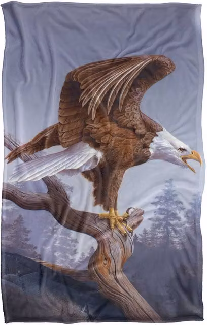JQ Licensing Taking Flight Eagle Super Soft Fluffy Polyester Throw Blanket, Multicolour, Large