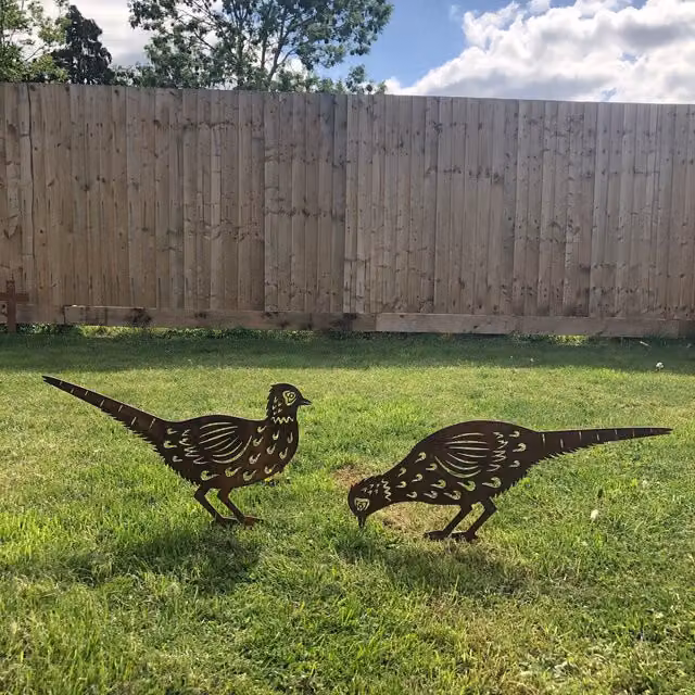 RW Norfolk Pair of Pheasants Rusty Metal Garden Decoration in Brown