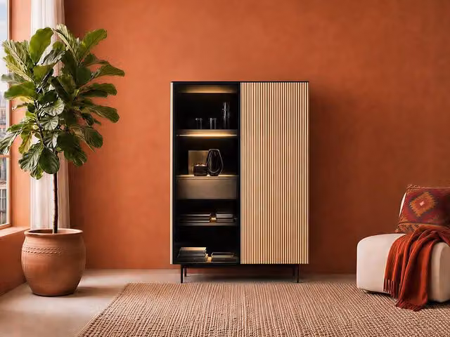 Vente-unique Modern 2-Door Display Cabinet with Integrated LED Lighting in Black MDF and Smoked Glass, Height: 166 cm – 1