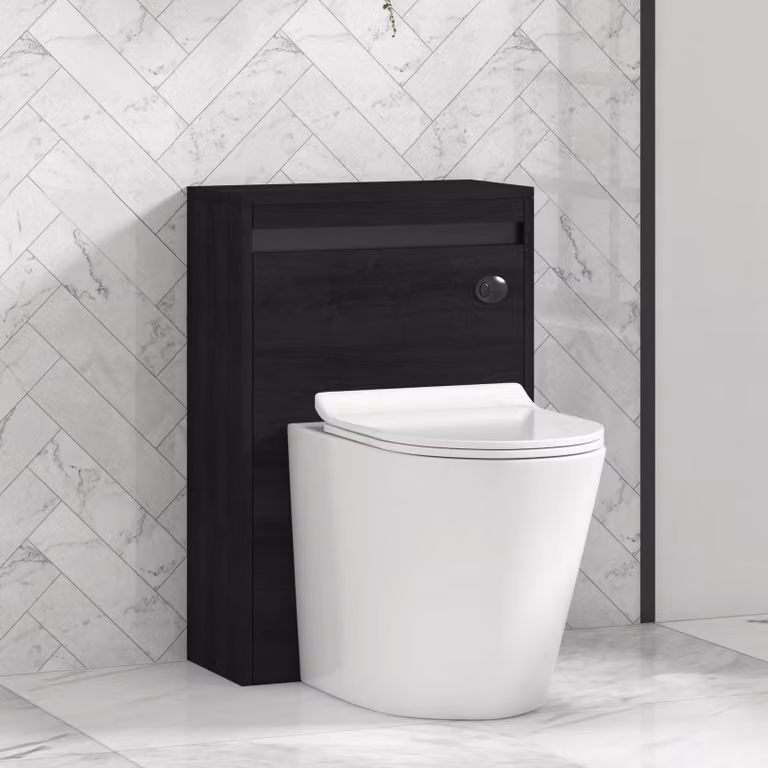 Orion Hale 540mm Black BTW WC Unit with Cesar Rimless Ceramic Toilet Pan, Slim Soft Close Seat and Cistern, Black Accent Trim