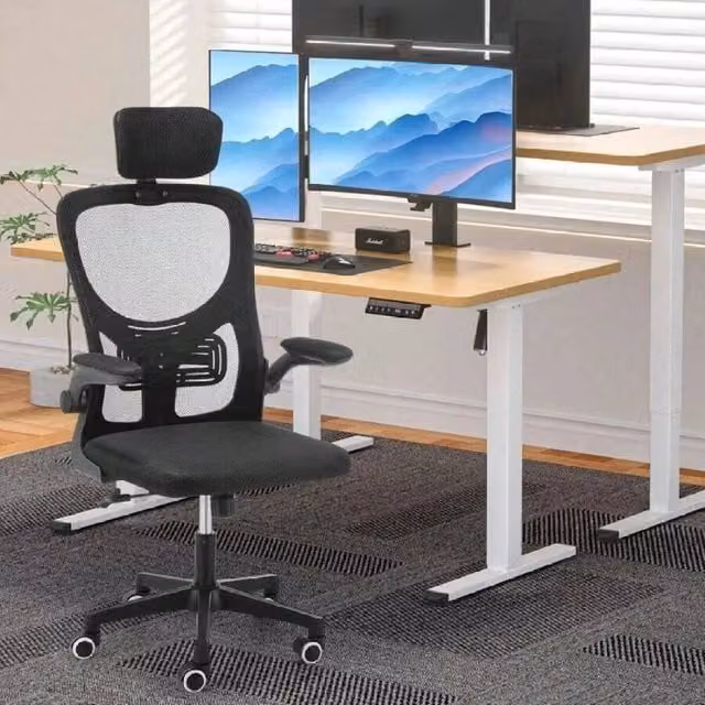 EONLION Ergonomic Black Fabric Home Office Chair with Headrest and Armrests