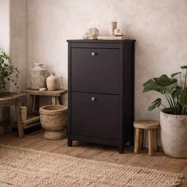 Wyld Haus Gossmere Matt Black 2 Door Shoe Cabinet – 1