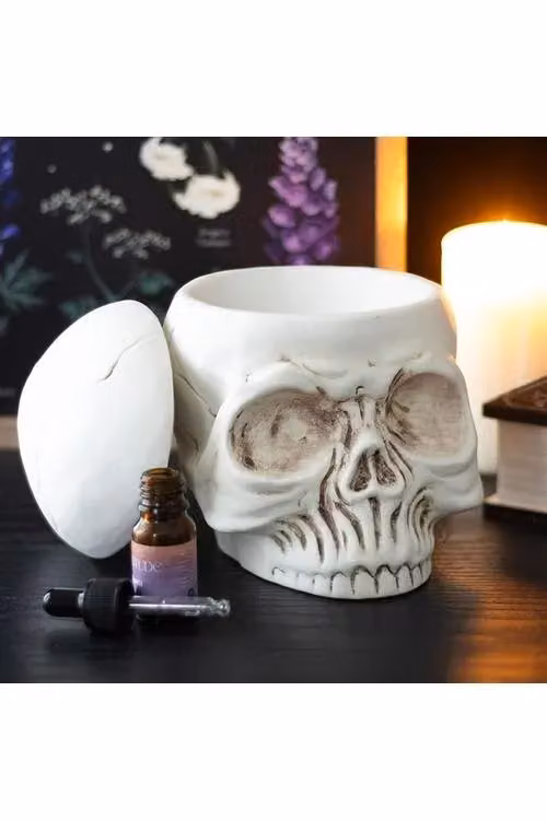 KDMD Weathered Skull Ceramic Oil Burner and Wax Warmer in Beige – 2