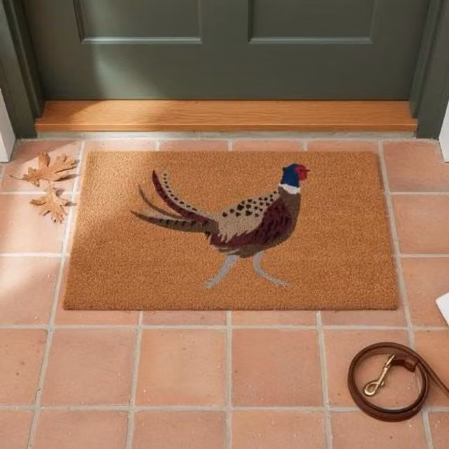 Madison & Mayfair Brown Coir Pheasant Doormat, W: 44 cm, D: 75 cm – 1