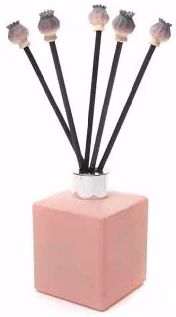 Jardinopia Poppy Seed Heads Range Diffuser Decor, Multicolour, W: 10 cm, D: 10 cm, H: 2 cm