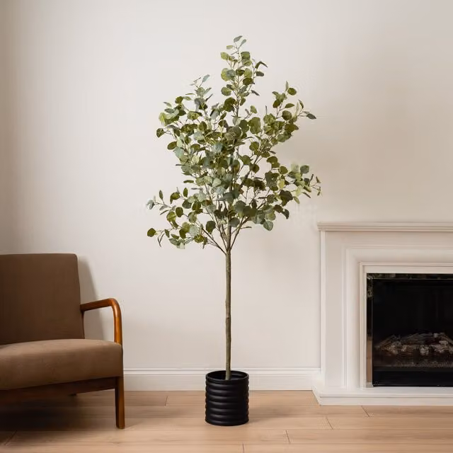 Scottish Everlastings Ltd 185 cm Green Eucalyptus Tree