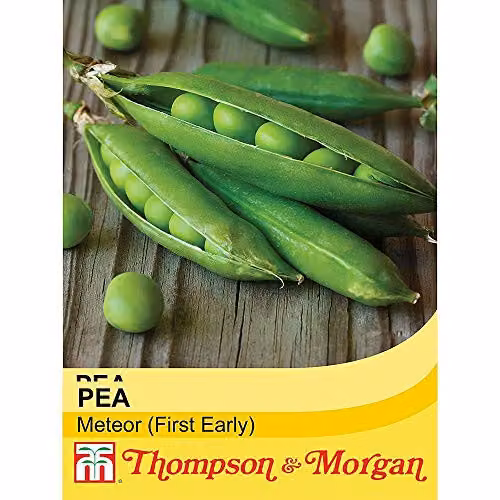 Thompson and Morgan Pea Meteor Seeds, Hardy Annual Vegetable Garden Plants, 250 Seeds – 2