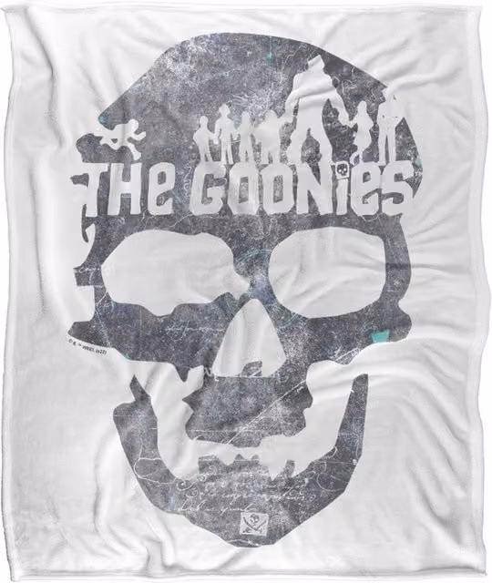 Warner Bros. Skull Silky Touch Super Soft Fluffy Throw Blanket in Multicolour and White