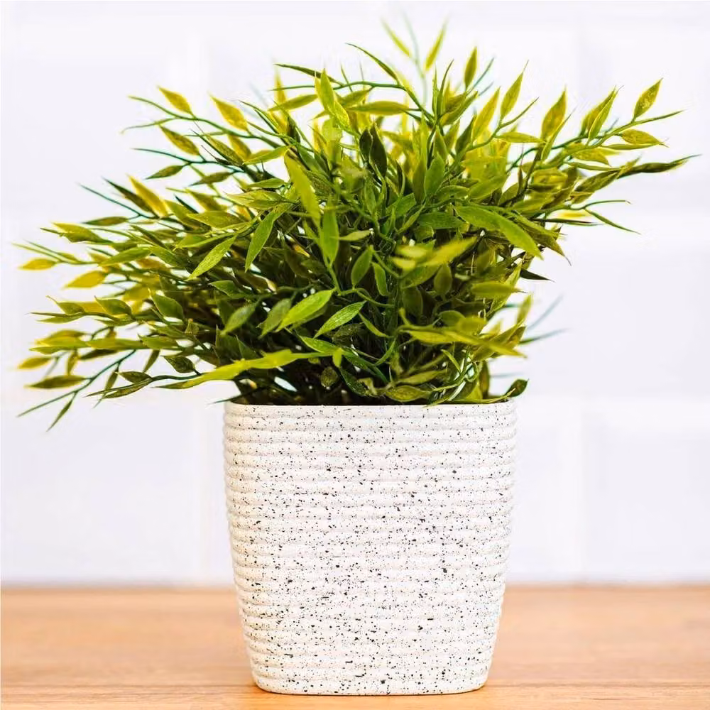 NESTLUNE White Sandstone Plastic Planter Pot Set of 3 for Indoor and Outdoor Ornamental Gardens – 2