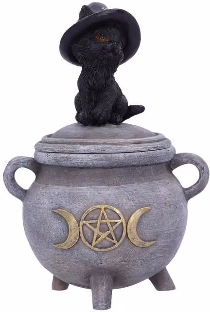 Nemesis Now Witch Cat Cauldron Box in Black and Grey, H 14 cm