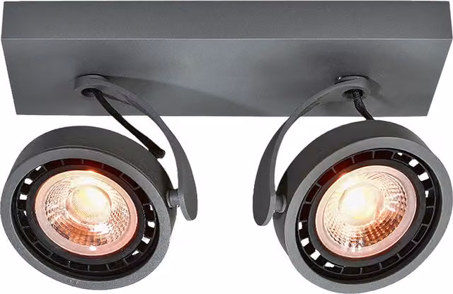 CGC Wally Double Surface Mounted Adjustable Spotlight in Grey
