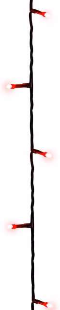Christmas Tree World 100 LED Solar Powered Red String Lights