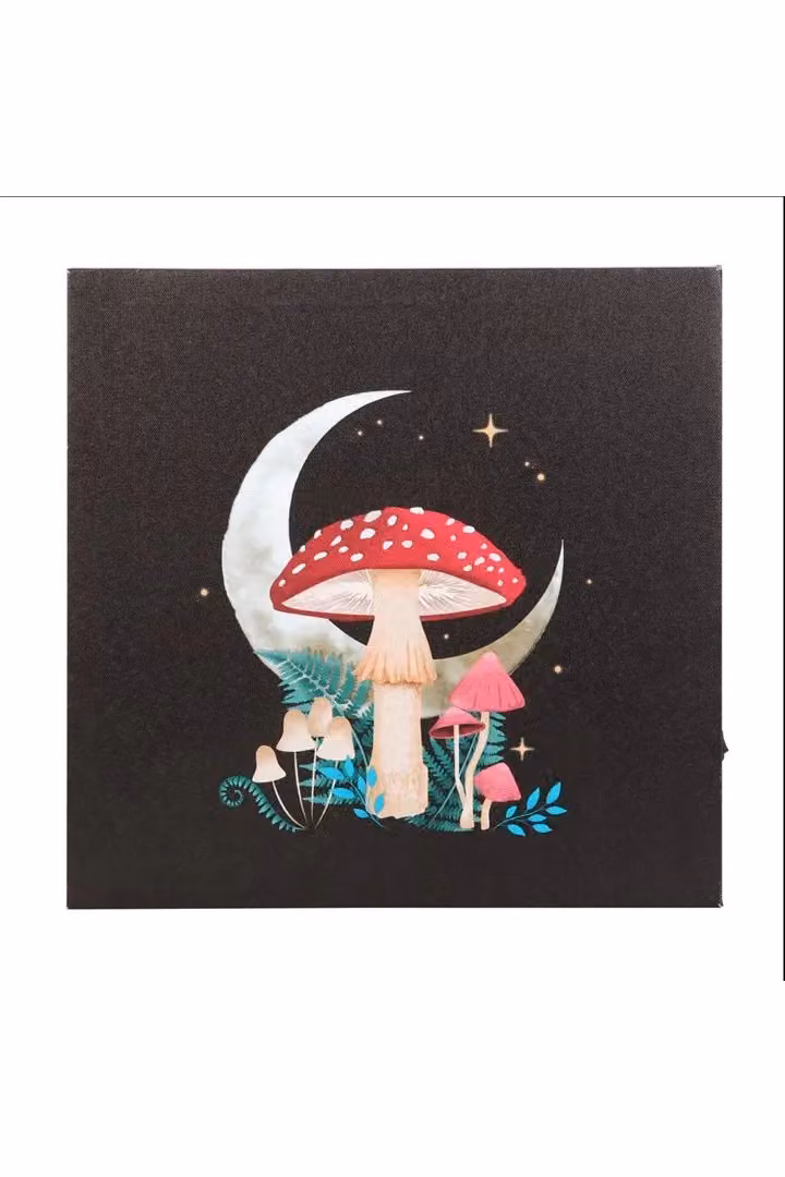 KDMD Forest Mushroom Light Up Canvas Plaque, Black, W/D/H: 30 x 30 x 30 cm – 3
