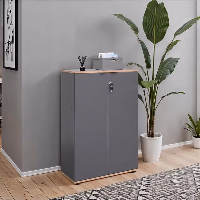 FWStyle Modern 2 Door Lockable Office Storage Cabinet in Anthracite Grey