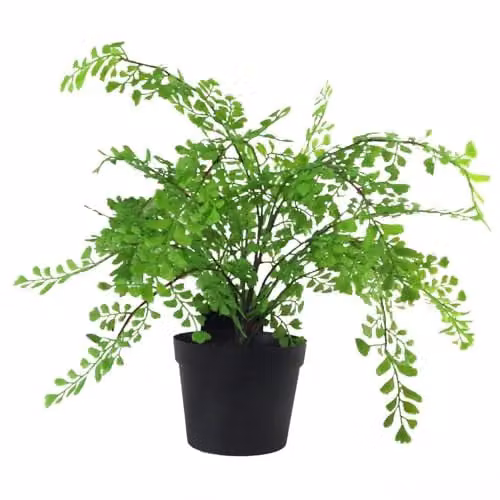 Leaf Artificial Potted Fern Plant in Green and Black, Height: 45 cm, Width: 35 cm – 1