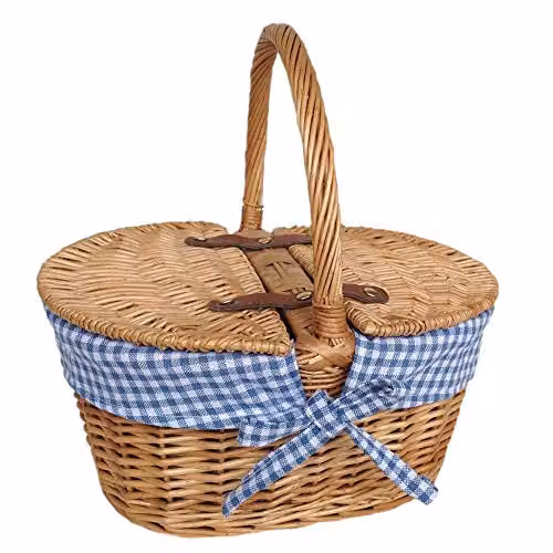 Red Hamper Child's Oval Lined Lidded Wicker Picnic Basket in Red and Brown