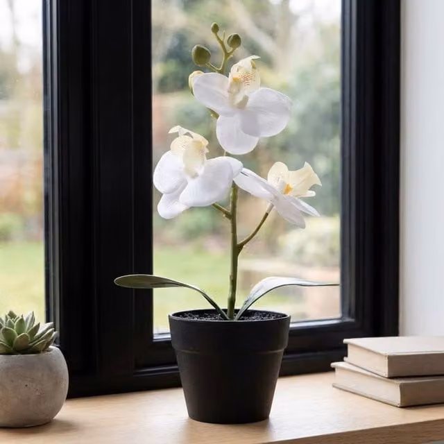 Garden Greatness Artificial Blanc Mini Orchid in White and Multicolour Pot