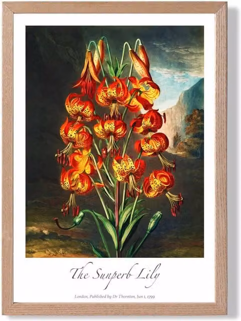 ARTZE Vintage Floral Lily Flower Framed Print, Multicolour Botanical Paper Poster with Oak Frame