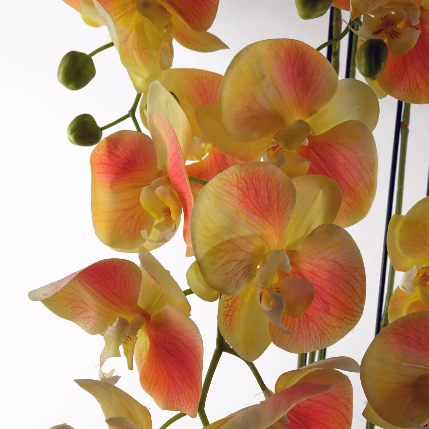Leaf Design UK Real Touch Artificial Yellow Orchid Plant in Green Pot, Height: 110 cm – 4
