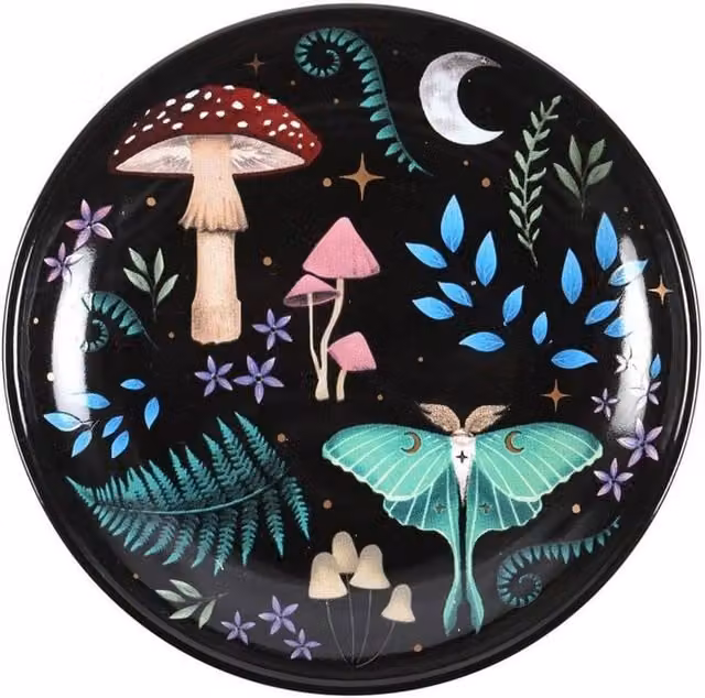 Something Different Dark Forest Round Trinket Dish in Black