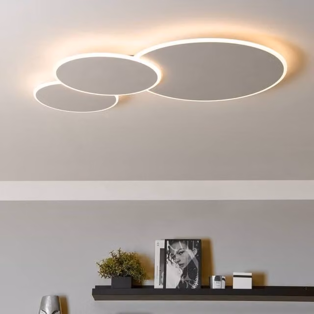 Wyld and Coco Round White LED Ceiling Lamp with Dimmable Aluminium and Plastic Shade